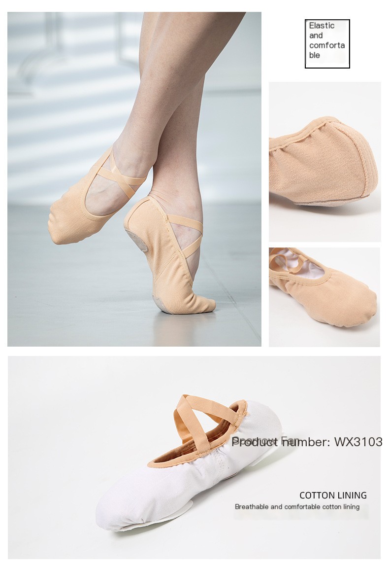 Ballet Shoes Image