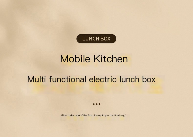 Electric Lunch Box