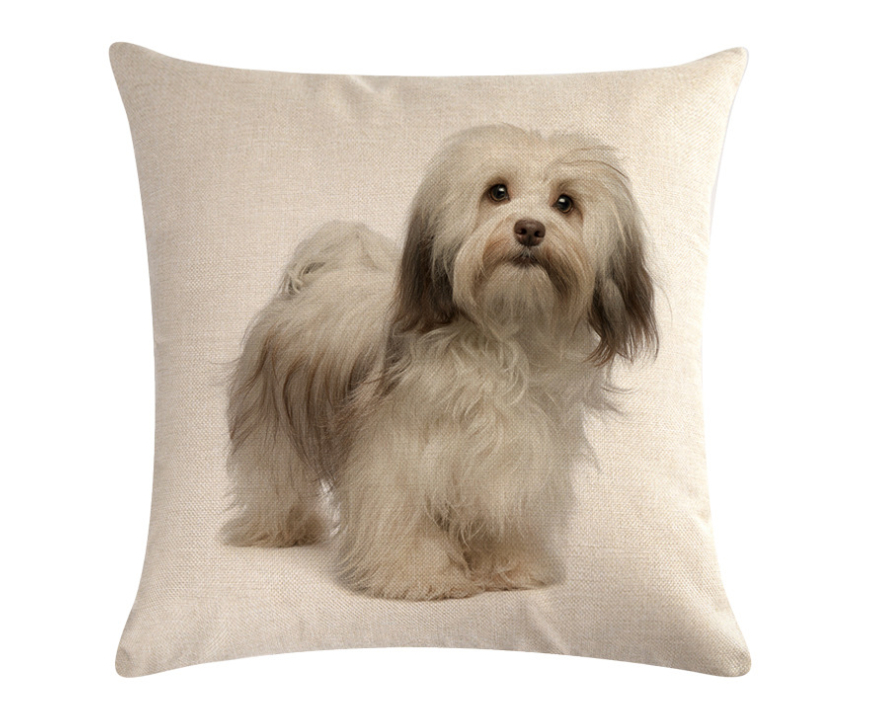 Boston Terrier Cushion Cover