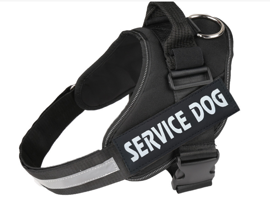 Pet Chest Strap Image 3