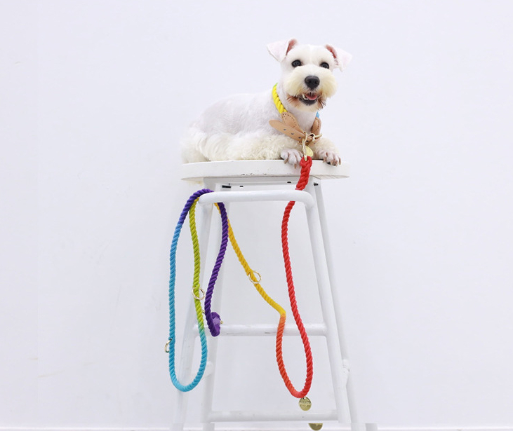 Color Pet Traction Gradient Rainbow