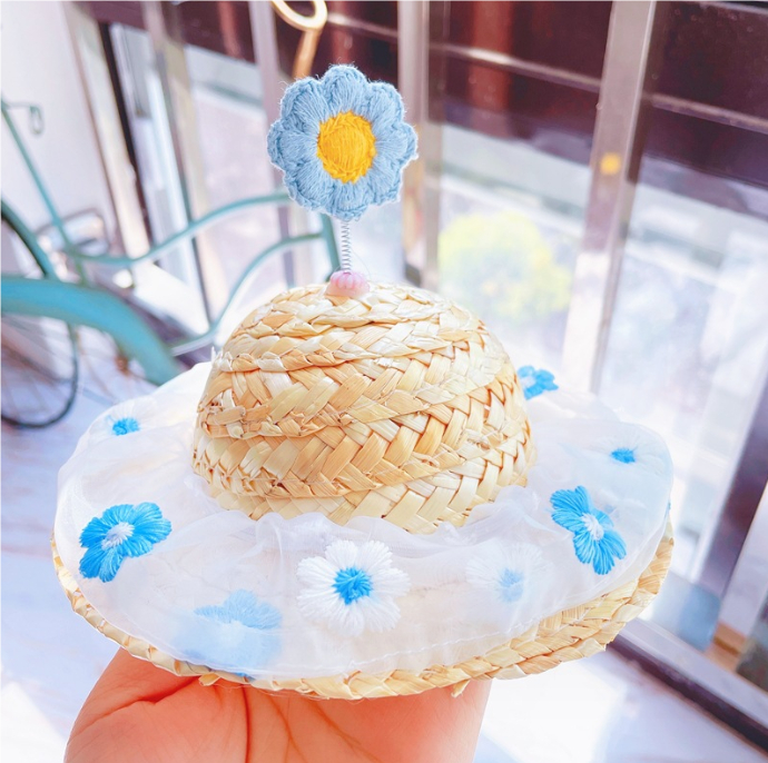 Summer Pet Fashion