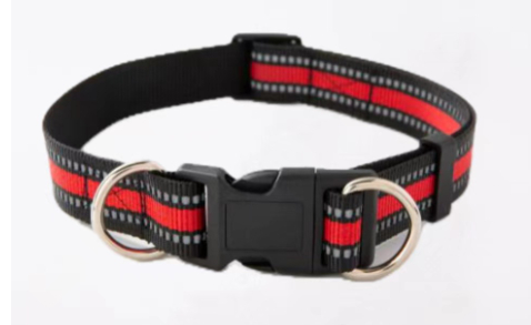 Dog collar design 4