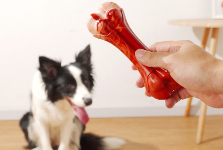 Juguete para Mascotas Palo Molar para Perros Resistente a Mordidas