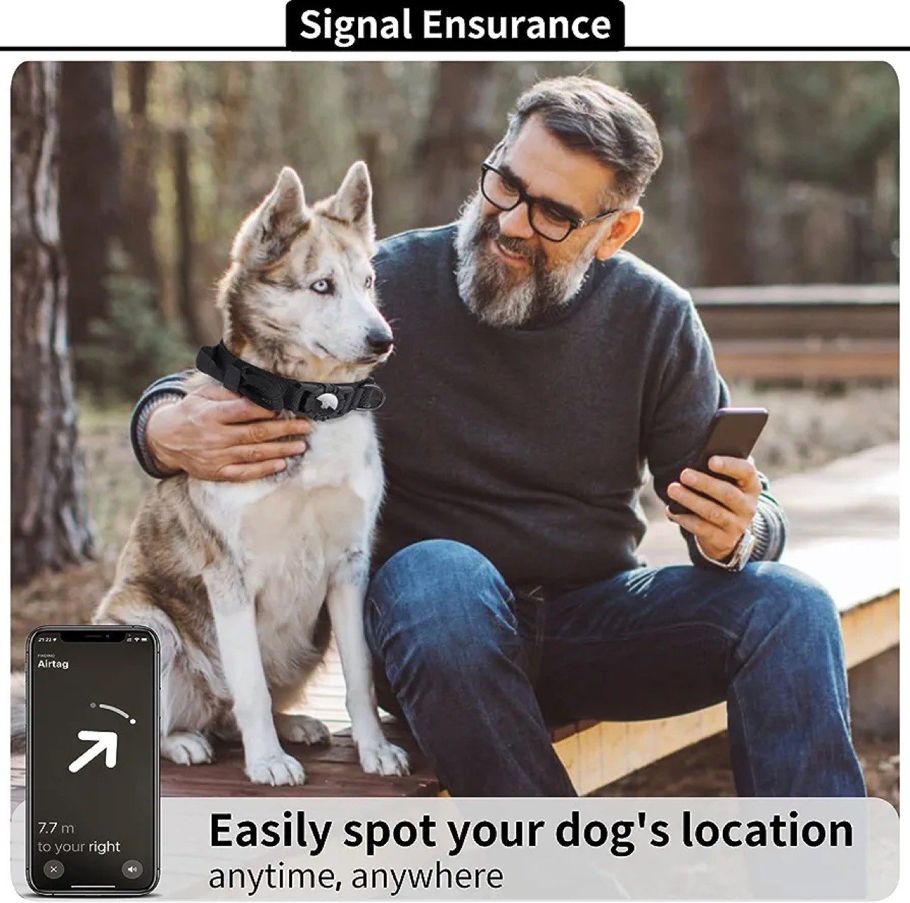 Dog Collar Image 3