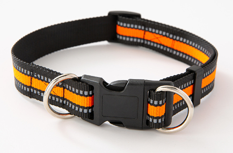 Dog collar design 1