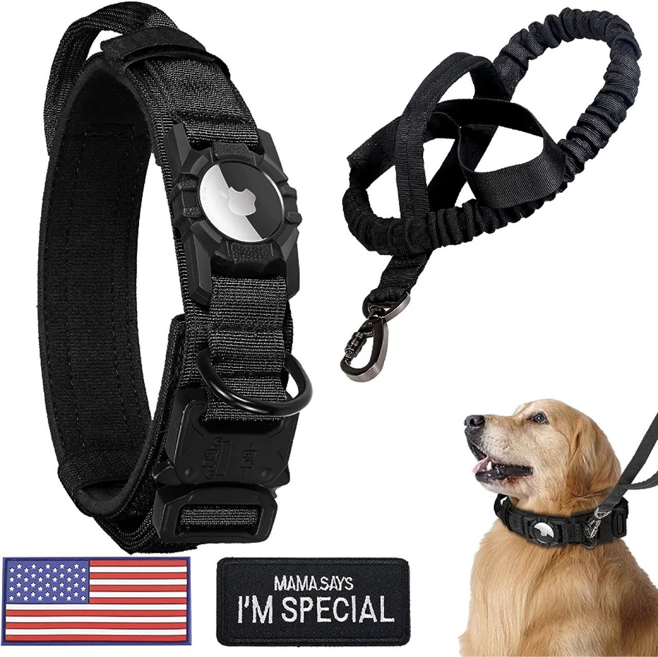 Dog Collar Image 4
