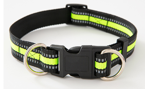 Dog collar design 2