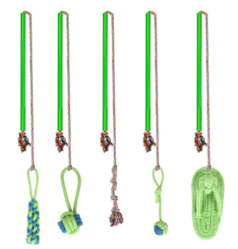 Dog Training Pole Set 2