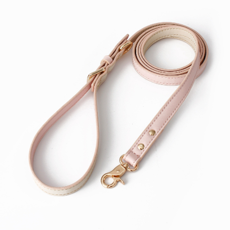 Dog Collar Traction Rope Yellow