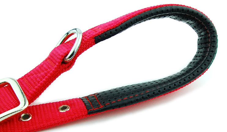 Dog Collar Image 2