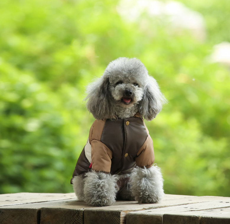 Cozy dog jacket