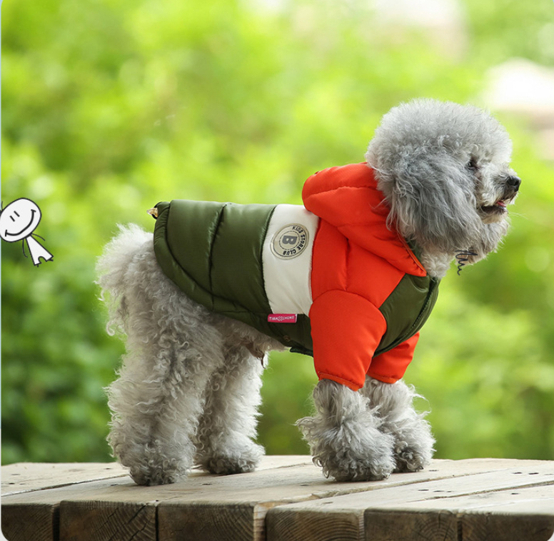 Dog wearing a down jacket