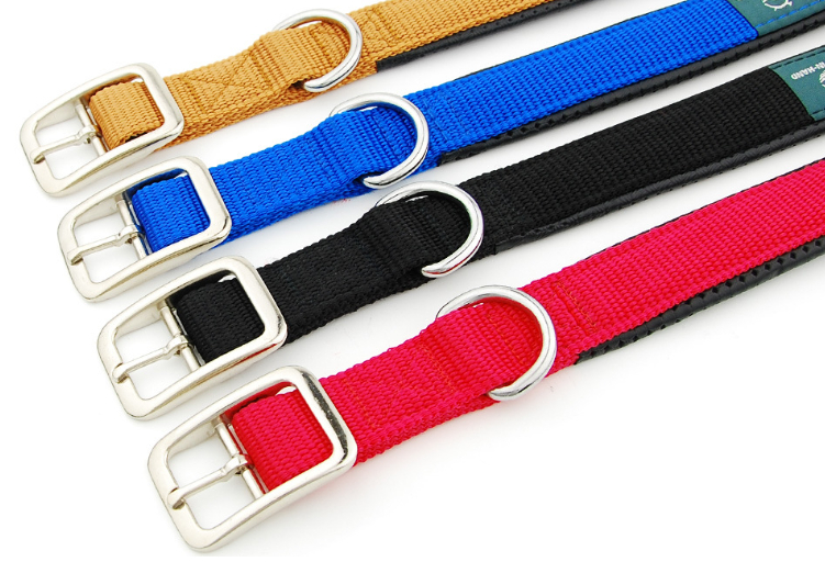 Dog Collar Image 5