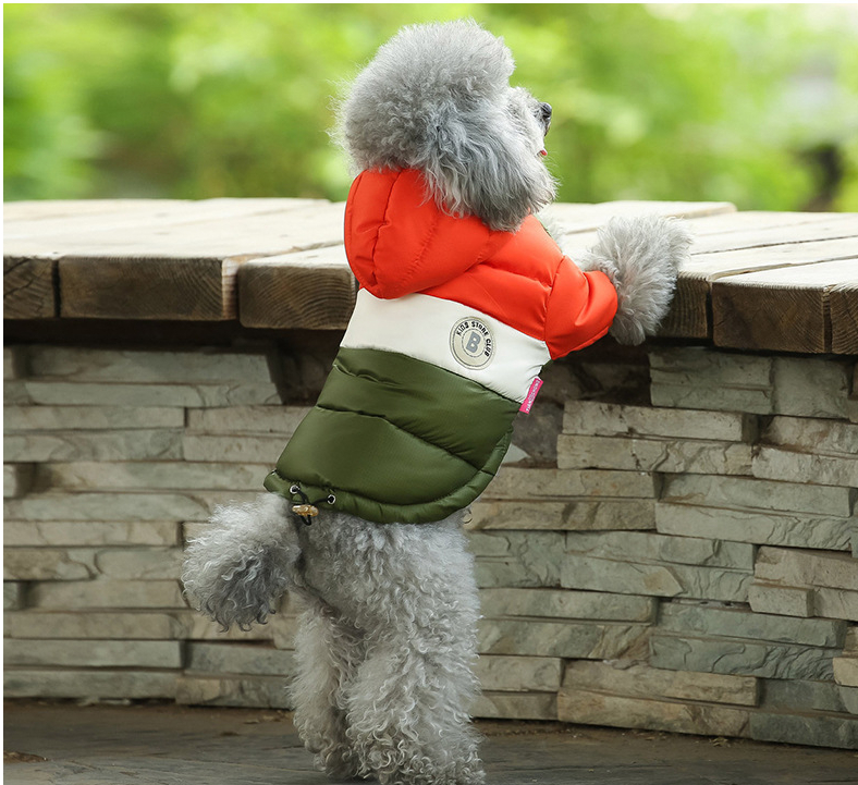 Stylish dog jacket