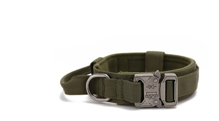 Correa Ajustable para Perro Grande 2