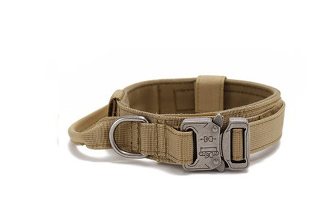 Correa Ajustable para Perro Grande 1