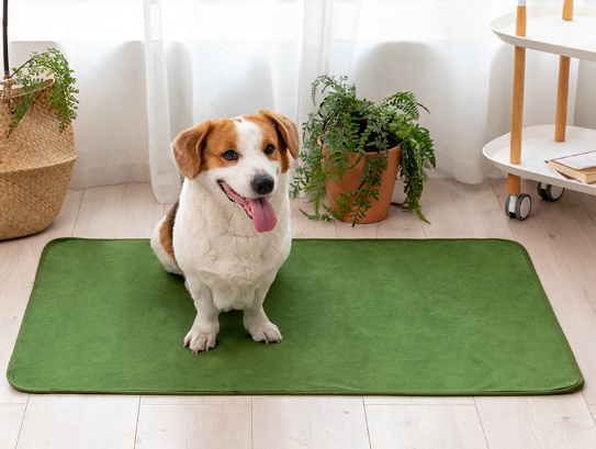 Changing Pad Image 7