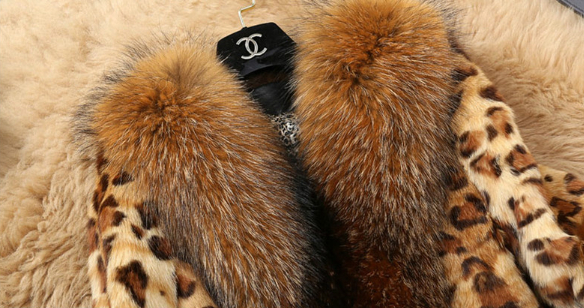 Leopard print coat image 4