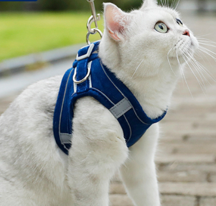 Anti Escape Reflective Cat Harness Leash 6