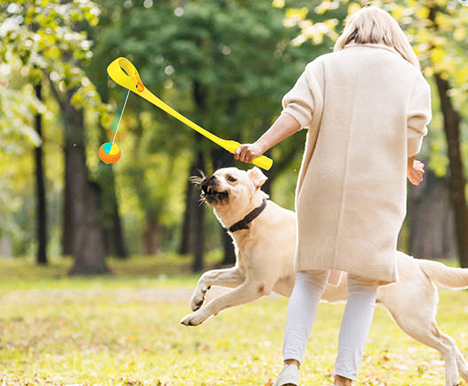 Outdoor Dog Toy Throwing Cue Ball Thrower - Image 3