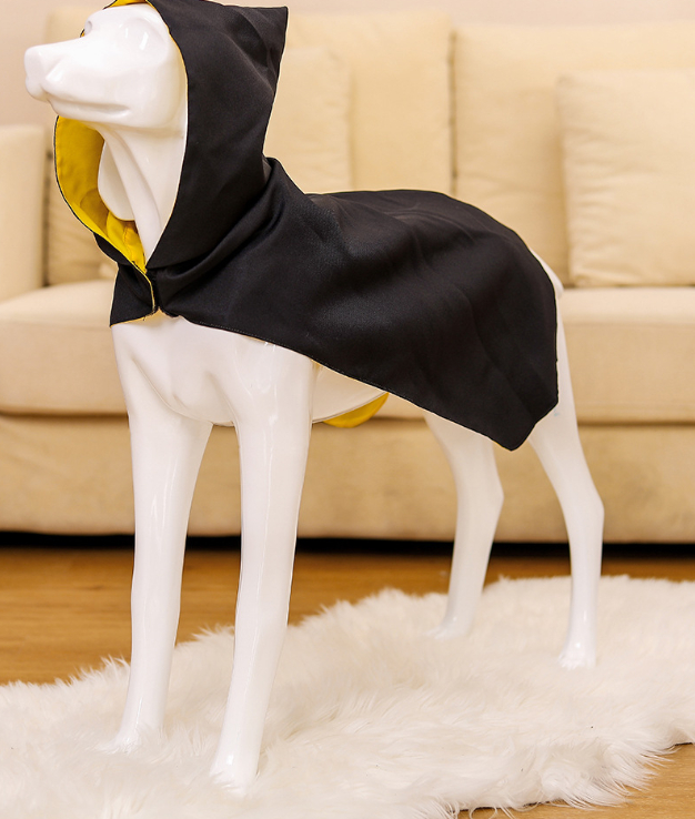 Dog in Halloween cloak