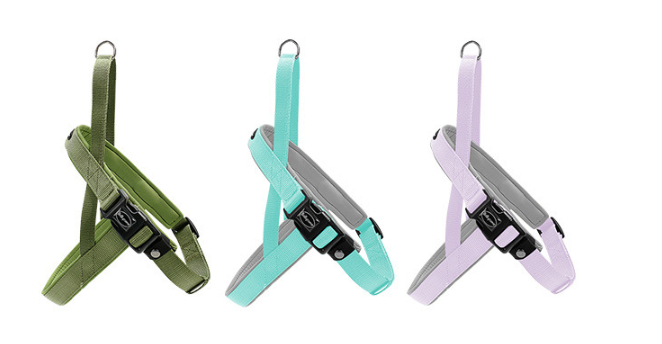 Harness Image 5