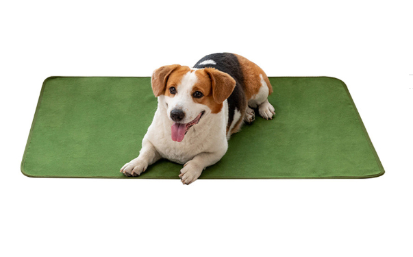 Changing Pad Image 4