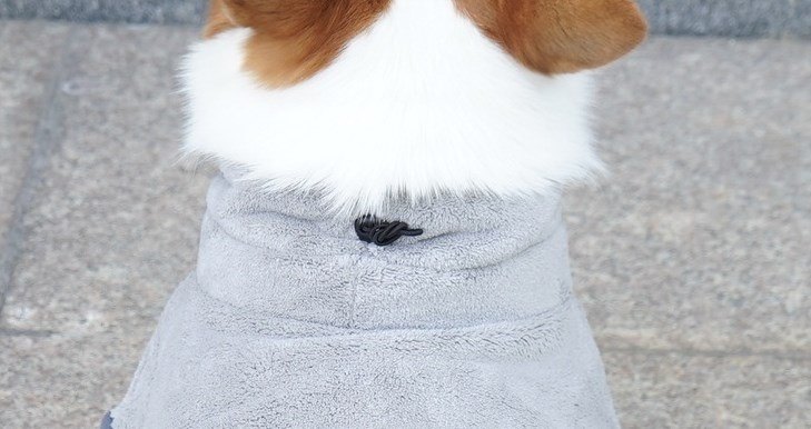 Stylish Pet Bathrobe