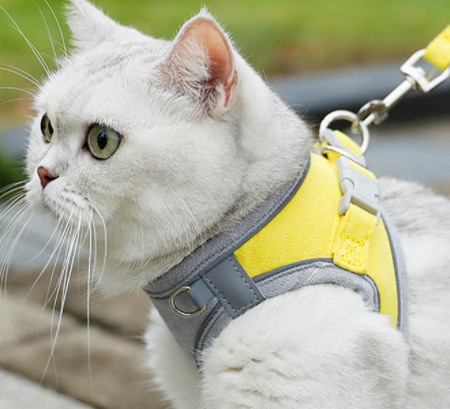 Anti Escape Reflective Cat Harness Leash 5