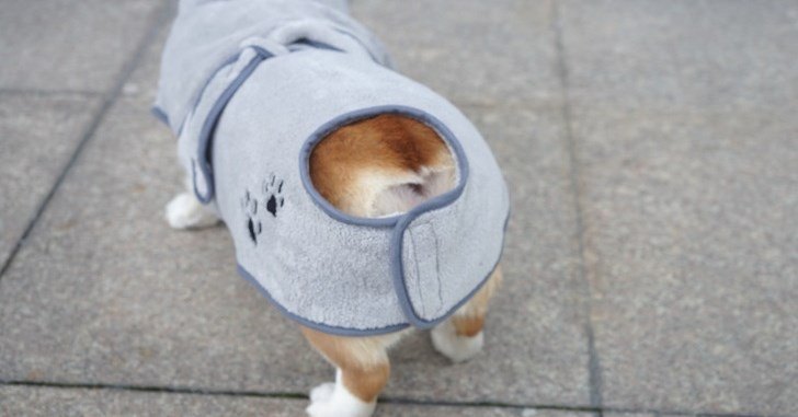 Grey Pet Bathrobe