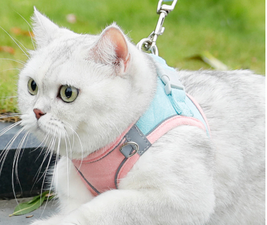 Anti Escape Reflective Cat Harness Leash 3