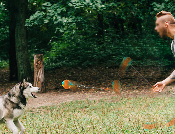 Outdoor Dog Toy Throwing Cue Ball Thrower - Image 6