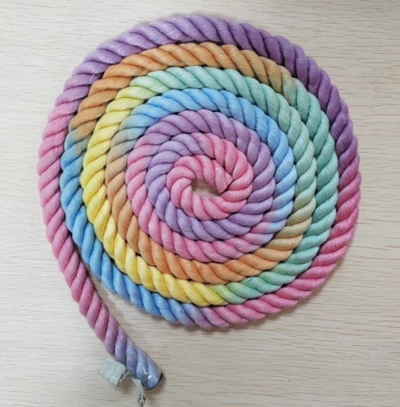 Gradient Color 1 Leash