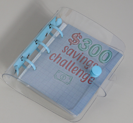 Mini Binder Savings Chal