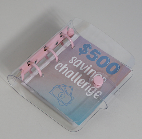 Mini Binder Savings Chal