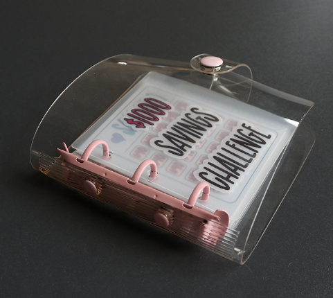 Mini Binder Savings Chal