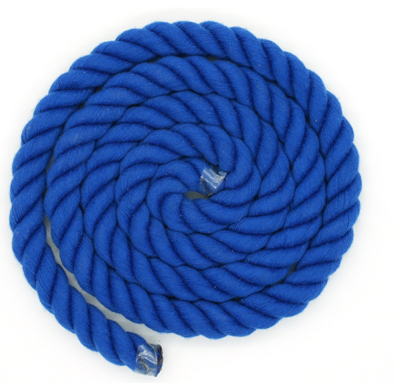 Sky Blue Leash