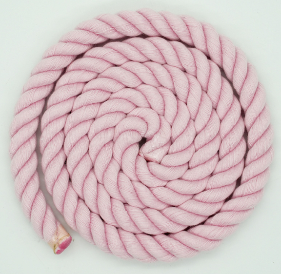 Gradient Color 3 Leash
