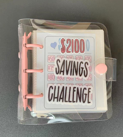 Mini Binder Savings Chal