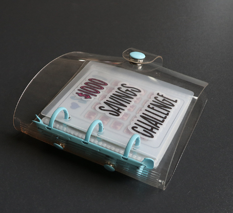 Mini Binder Savings Chal