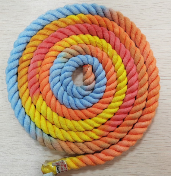 Gradient Color 2 Leash
