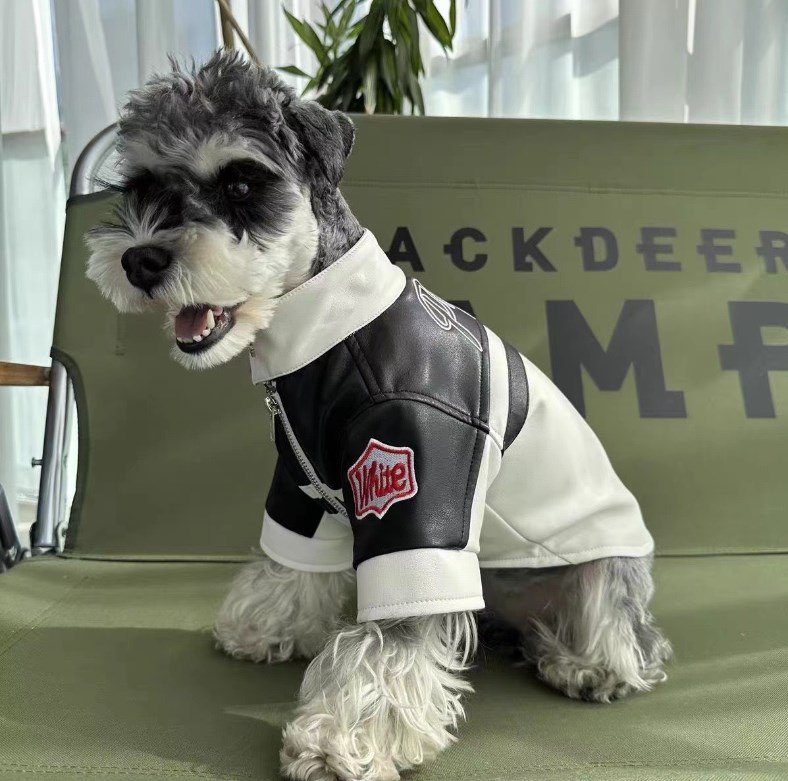 Casual embroidery dog clothes