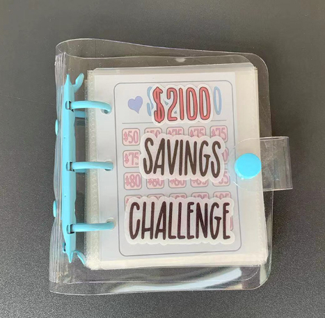 Mini Binder Savings Chal