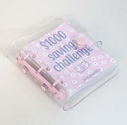 Mini Binder Savings Chal