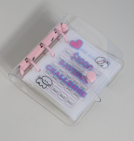 Mini Binder Savings Chal