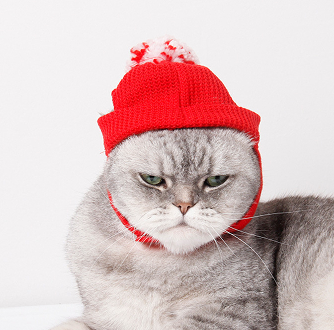 Red Festive Sweater Hat
