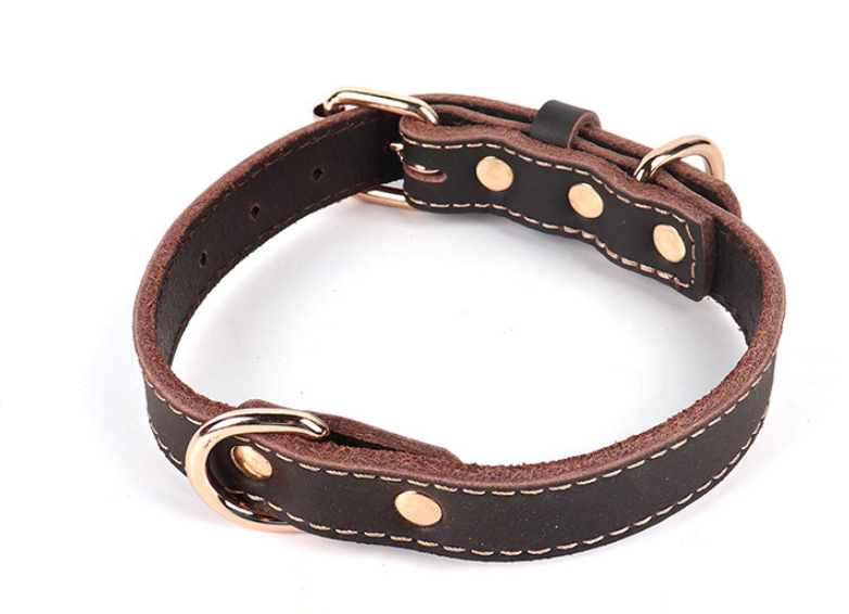 Pet Neck Ring Image 3