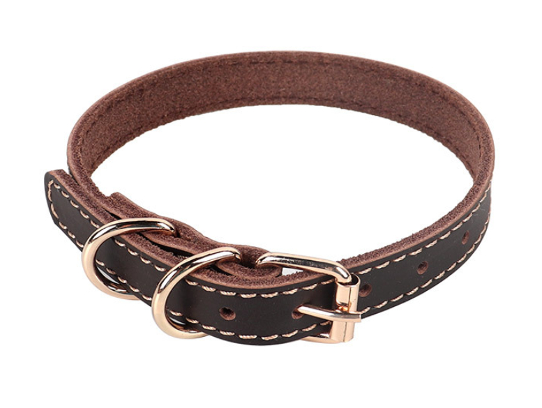 Pet Neck Ring Image 5