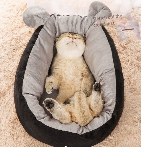 Cat House Image 2